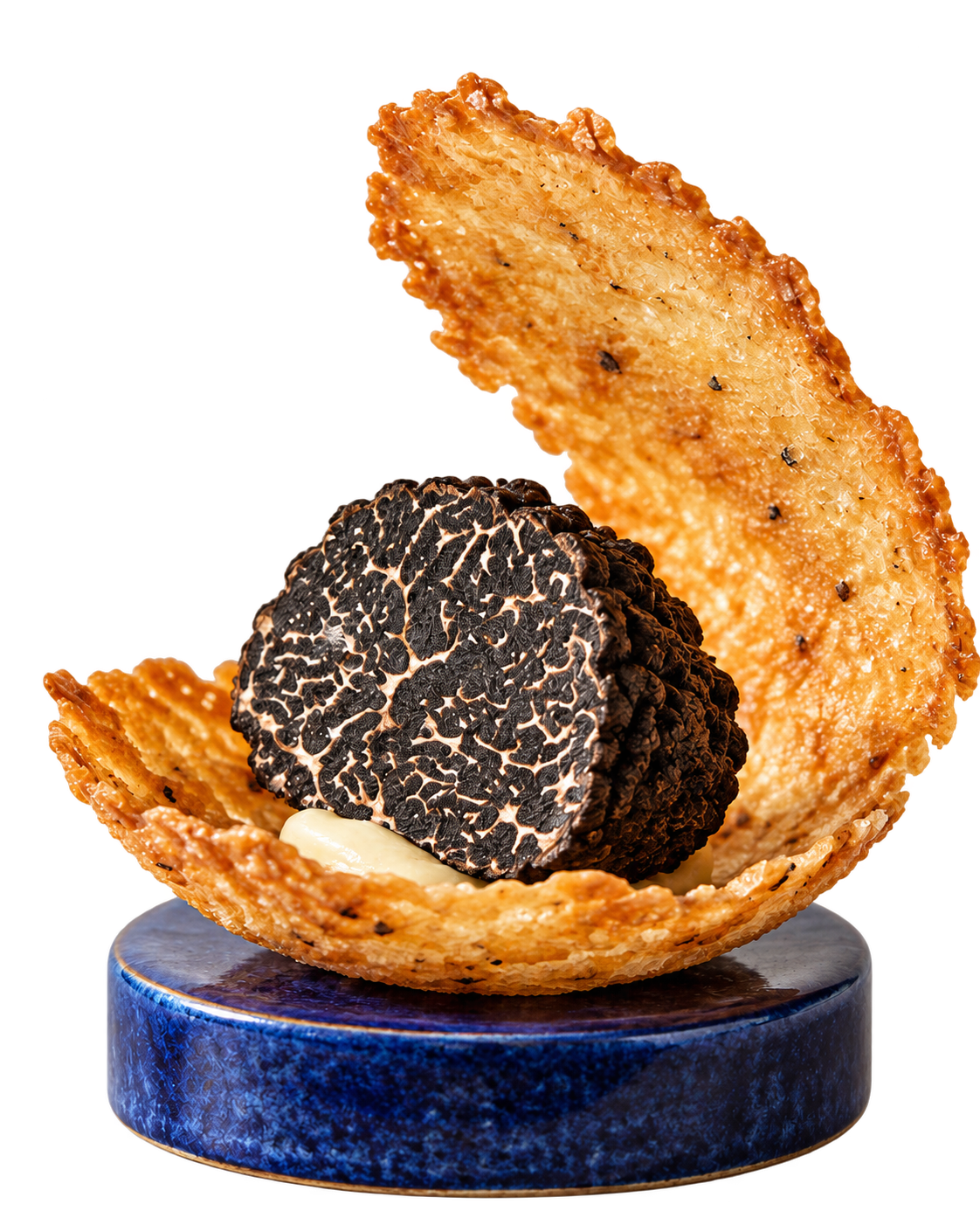 Truffe noire en dégustation dans une tuile croustillante, sur un socle bleu.