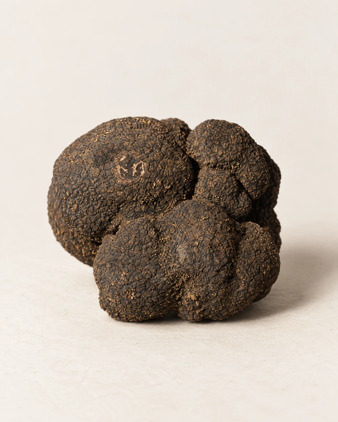 La Truffe