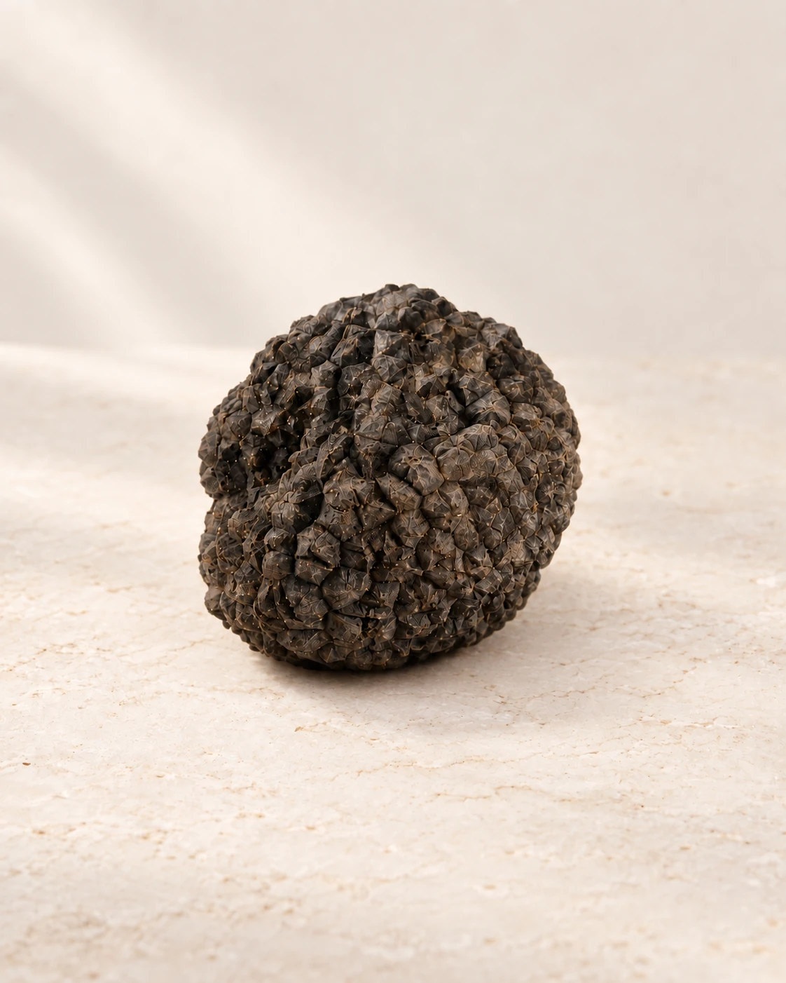 Truffe Signature